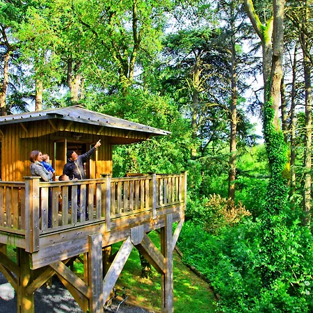 Otel Albirondack Park And 3*