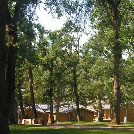 Albirondack Park And 3* Albi