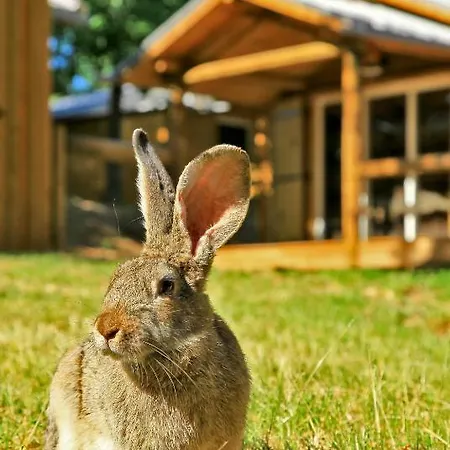 Otel Albirondack Park And 3*