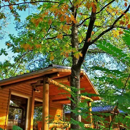 Albirondack Park And 3*